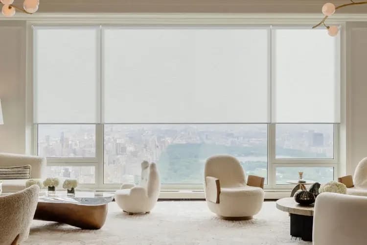 What Makes Our Motorized Blinds Different From Standard Window Controls?, example 4