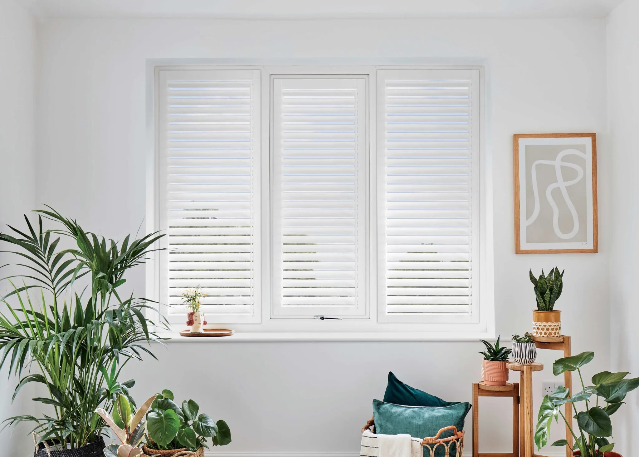 Special Offer Blinds