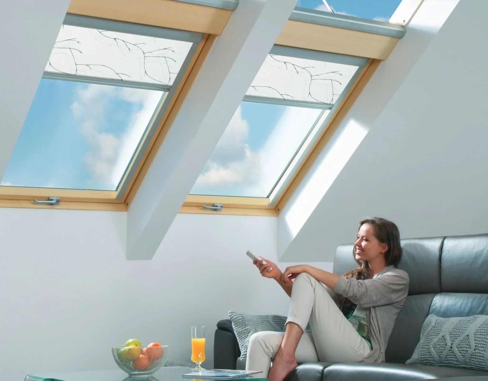 What Makes Our Skylight Blinds the Right Fit for Every Roof Window?, example 4