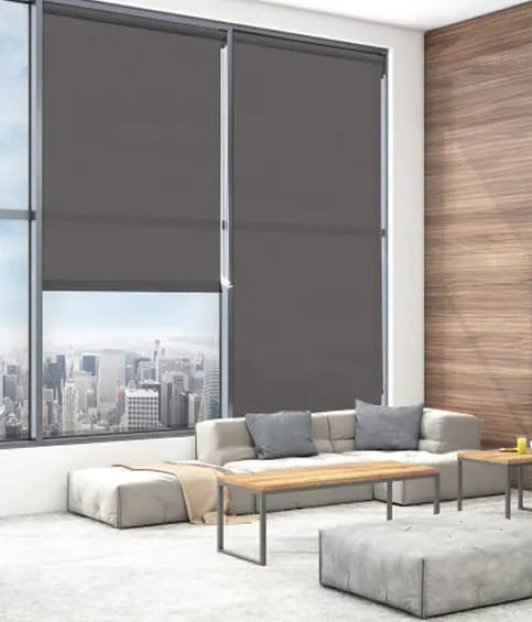 Sunscreen Blinds